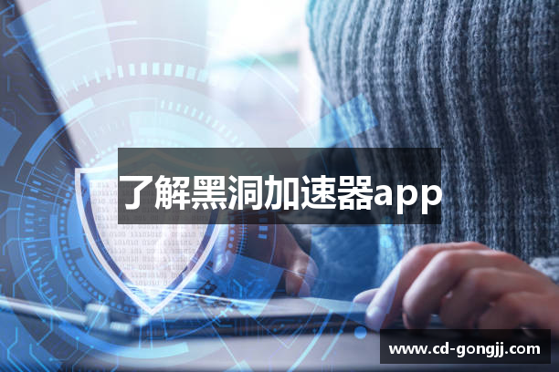 了解黑洞加速器app
